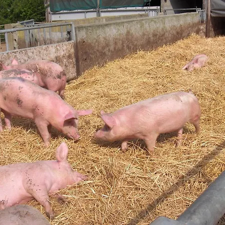 Les Roulottes De La Ferme Chauvet