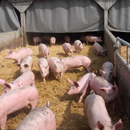 Les Roulottes De La Ferme Chauvet Holiday home Chantenay-Villedieu
