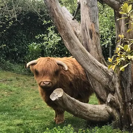 Les Roulottes De La Ferme Chauvet Chantenay-Villedieu